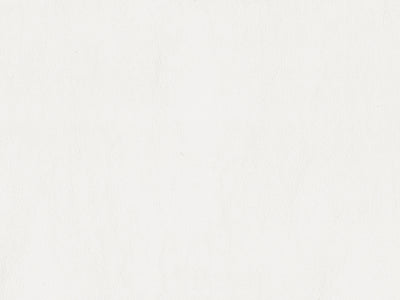 Lana 1556 Platform Bed With LED Lighting