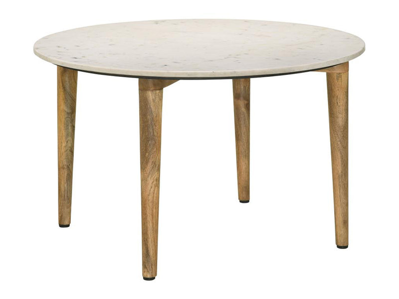 Aldis 30" Wide Coffee Table