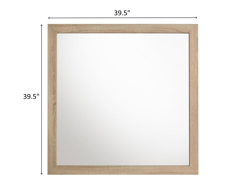 Arielle  61" Wide 6 Drawer Dresser With Mirror