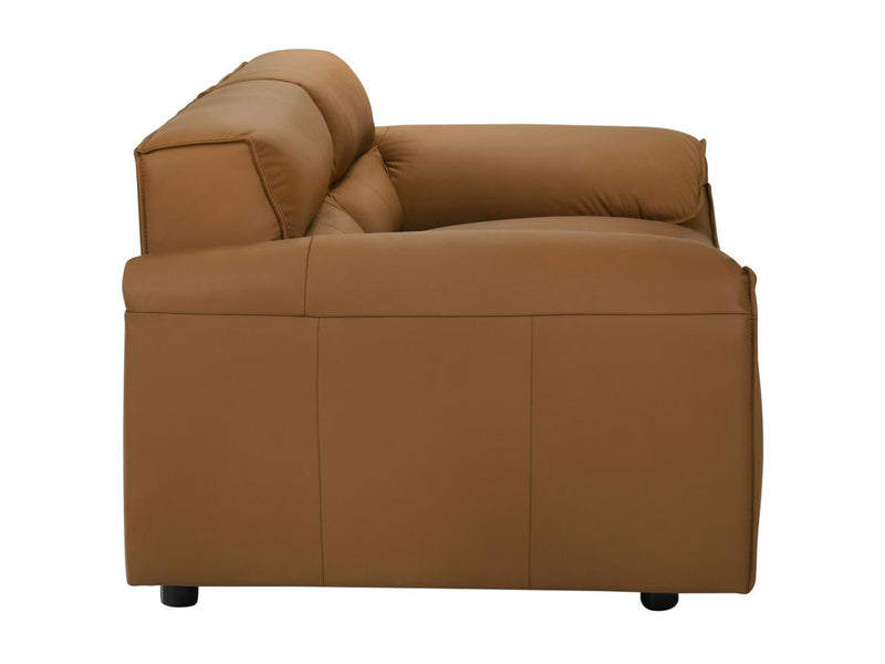 Buxton Top Grain Leather Living Room Set