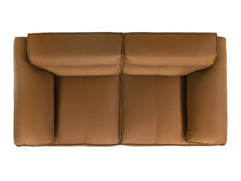 Buxton 74.6" Wide Top Grain Leather Loveseat