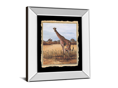 Classy 203 22" Wide Mirror Frame Wall Art