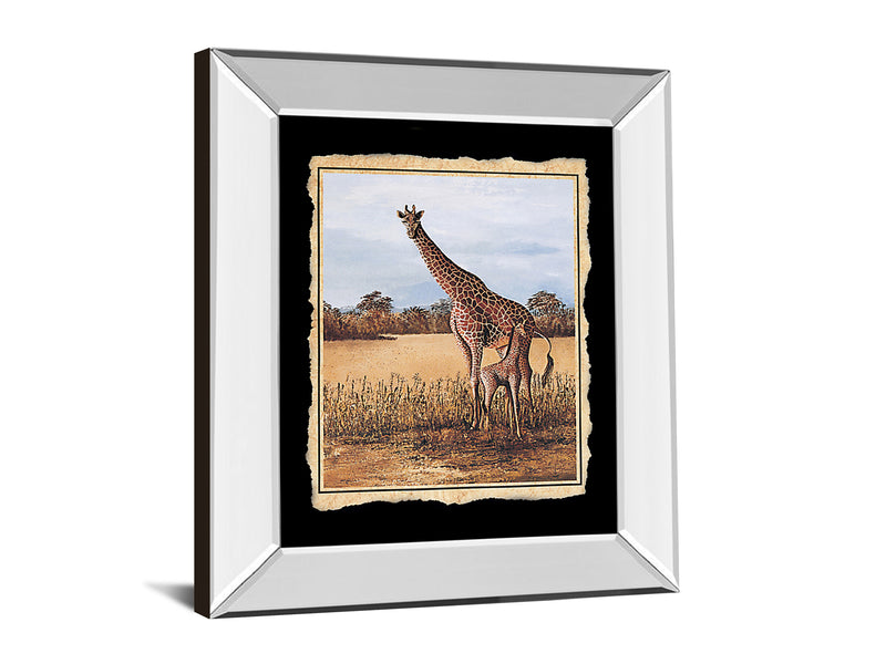 Classy 203 22" Wide Mirror Frame Wall Art