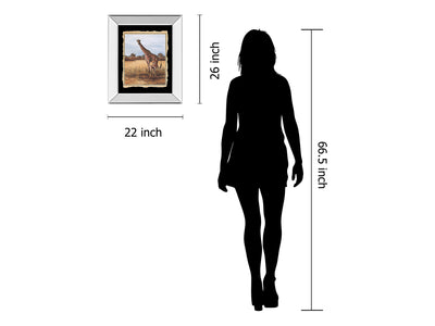 Classy 203 22" Wide Mirror Frame Wall Art
