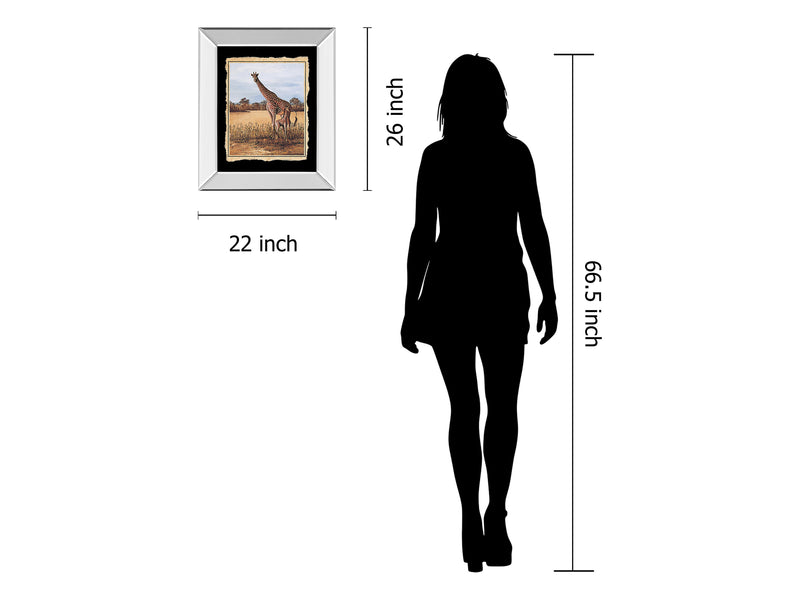 Classy 203 22" Wide Mirror Frame Wall Art