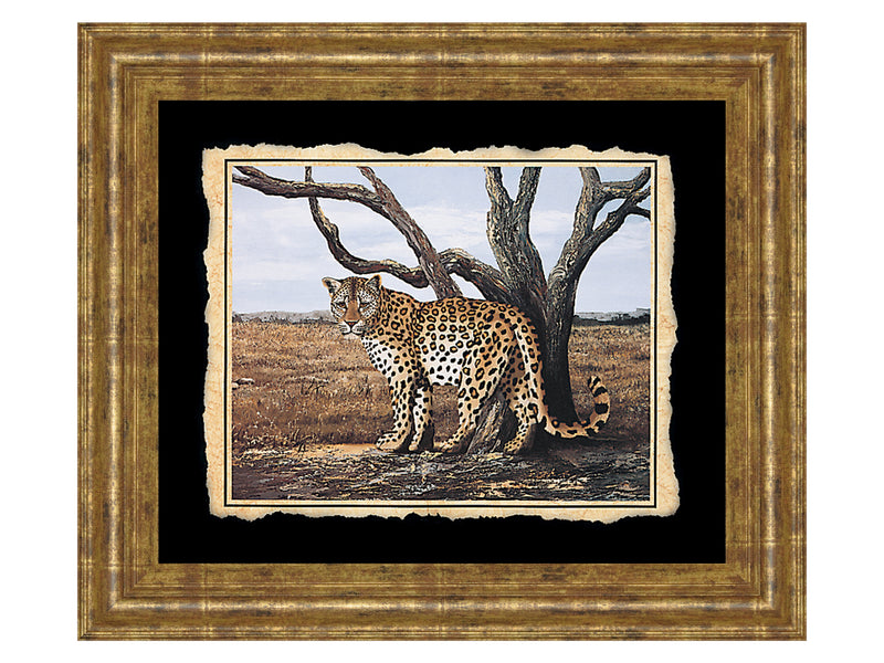 Classy 206 26" Wide Wall Art