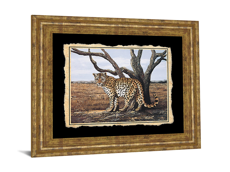 Classy 206 26" Wide Wall Art
