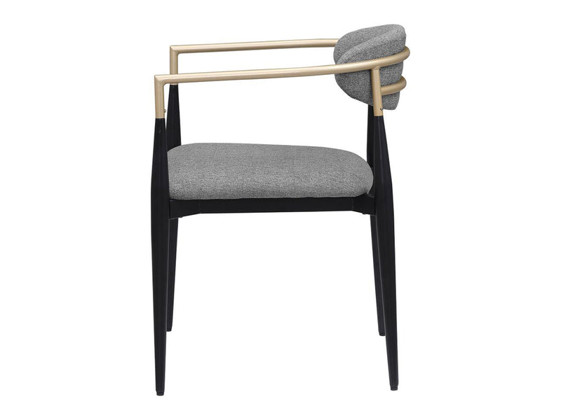 Alexis 19.8" Wide Dining Armchair (Set of 2)