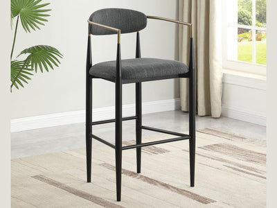 Tina Coa 22.5" Wide Bar Stool (Set of 2)