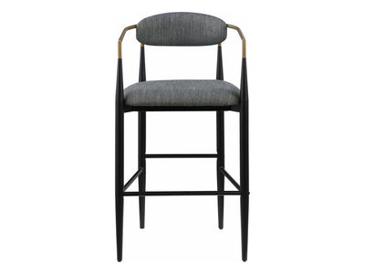 Tina Coa 22.5" Wide Bar Stool (Set of 2)