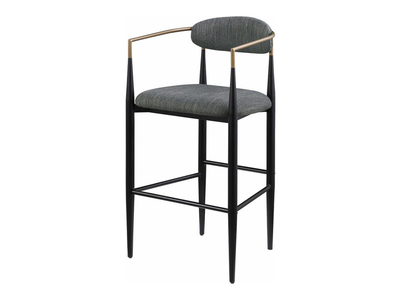 Tina Coa 22.5" Wide Bar Stool (Set of 2)
