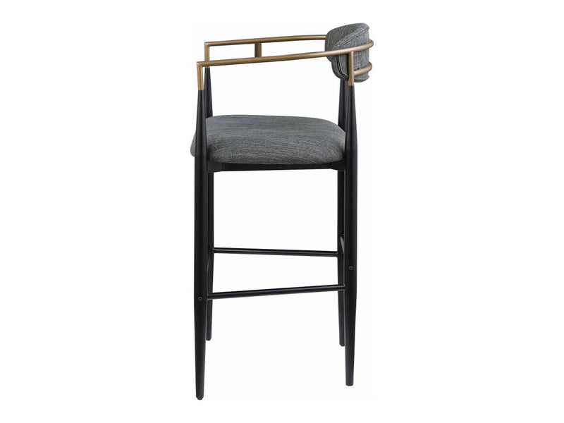 Tina Coa 22.5" Wide Bar Stool (Set of 2)