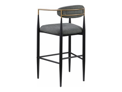 Tina Coa 22.5" Wide Bar Stool (Set of 2)