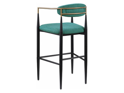 Tina Coa 22.5" Wide Bar Stool (Set of 2)