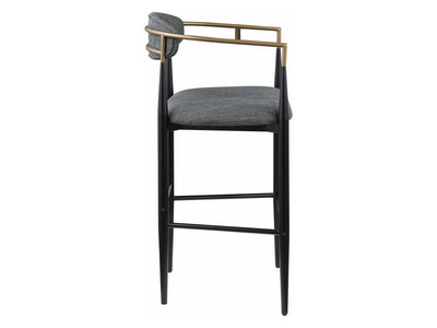 Tina Coa 22.5" Wide Bar Stool (Set of 2)