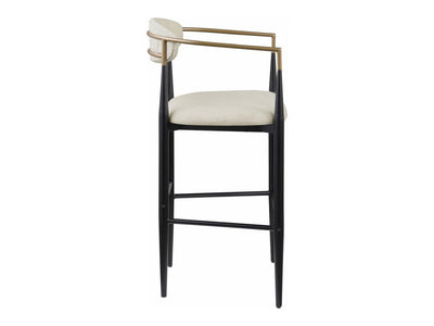 Tina Coa 22.5" Wide Bar Stool (Set of 2)