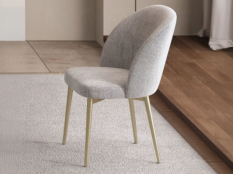 Cora 21" Wide Dining Chair (Set of 2)