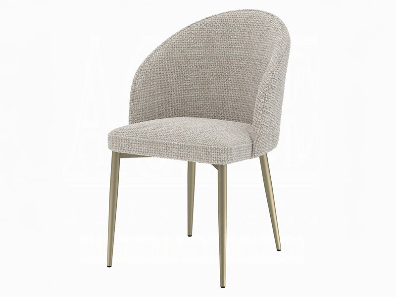 Cora 21" Wide Dining Chair (Set of 2)