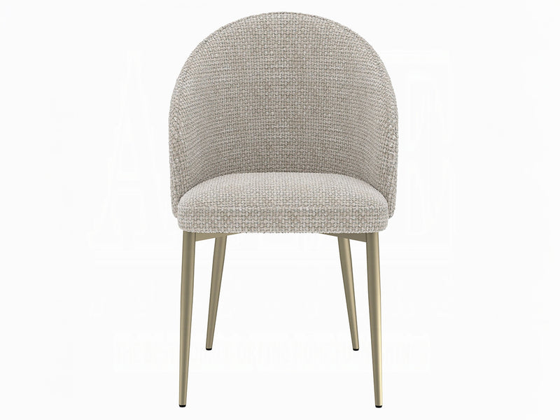 Cora 21" Wide Dining Chair (Set of 2)