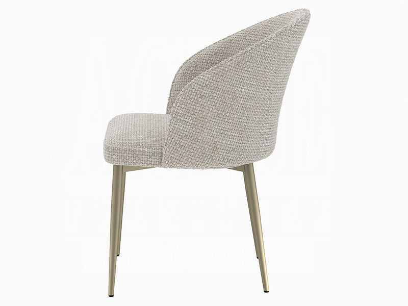 Cora 21" Wide Dining Chair (Set of 2)