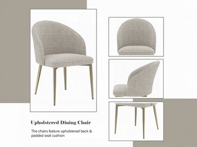 Cora 21" Wide Dining Chair (Set of 2)