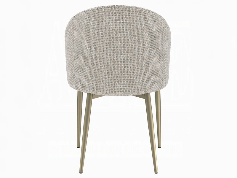 Cora 21" Wide Dining Chair (Set of 2)