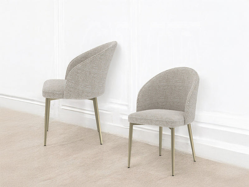 Cora 21" Wide Dining Chair (Set of 2)