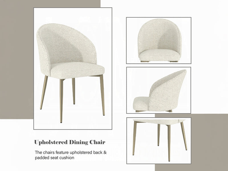 Cora 21" Wide Dining Chair (Set of 2)