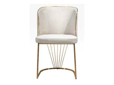Imaj Dining Chair
