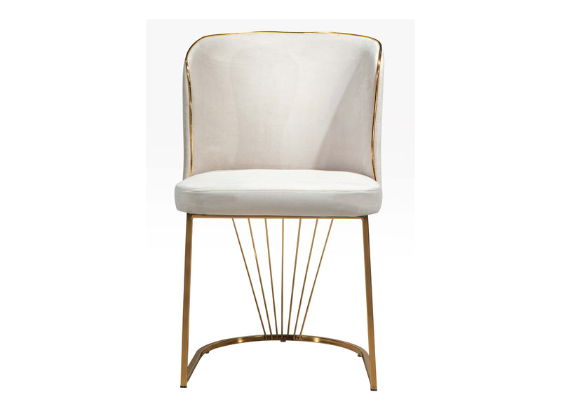 Imaj Dining Chair
