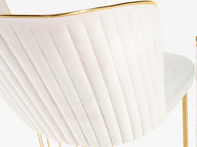 Imaj Dining Chair