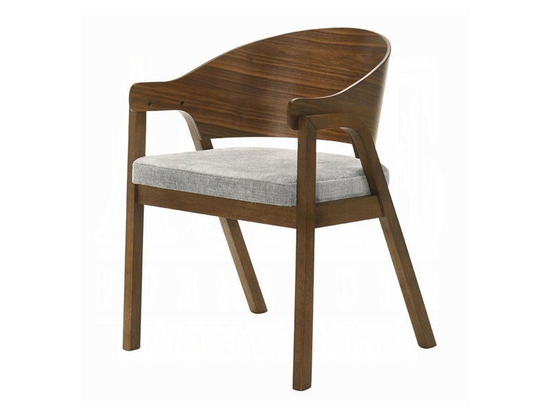 Hoyte 22" Wide Dining Chair (Set of 2)