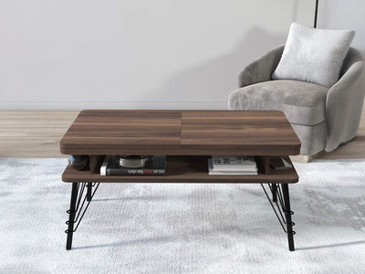 Kaisa 41.2" Wide Coffee Table