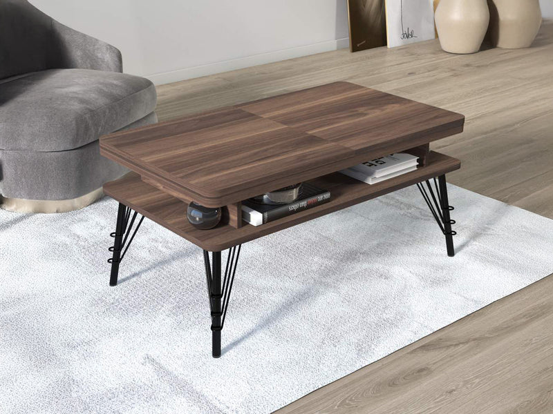 Kaisa 41.2" Wide Coffee Table
