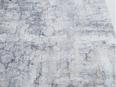 Roxy 2807 Rug