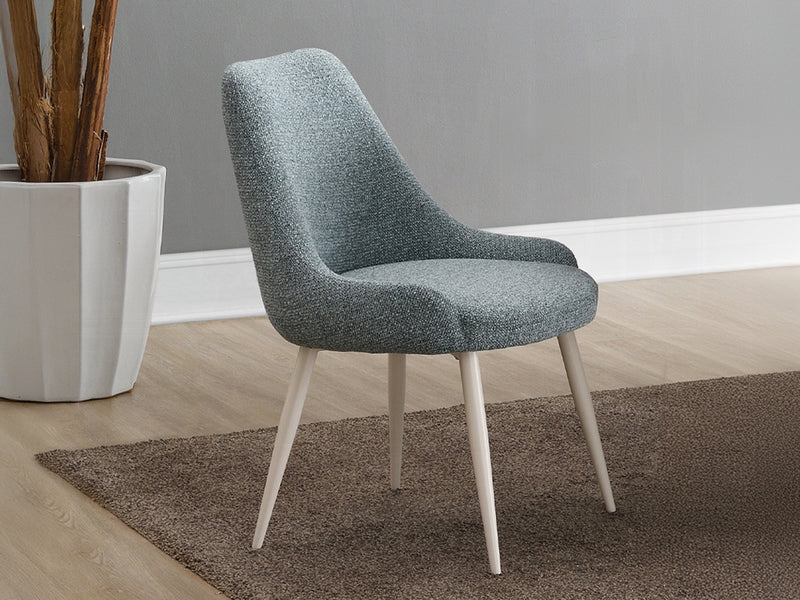 Laela 22" Wide Dining Chair (Set of 2)