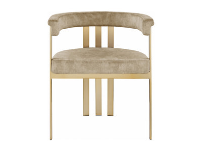Marcello 23.5" Wide Dining Chair (Set of 2)
