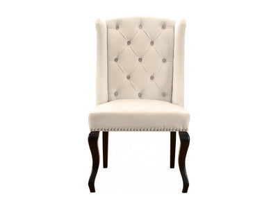 Suri 23" Wide Dining Chair (Set of 2)