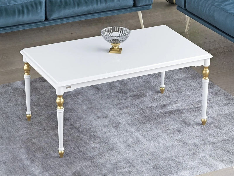 Saray 40" Wide Coffee Table