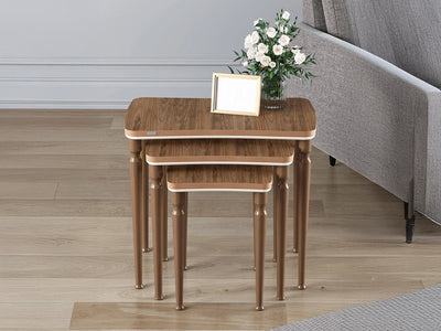Tawe 21.2" Tall Nesting Table