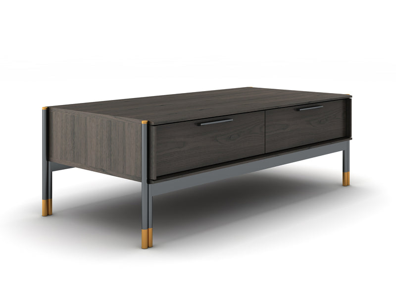 Bosa 48.8" Wide 2 Drawer Coffee Table