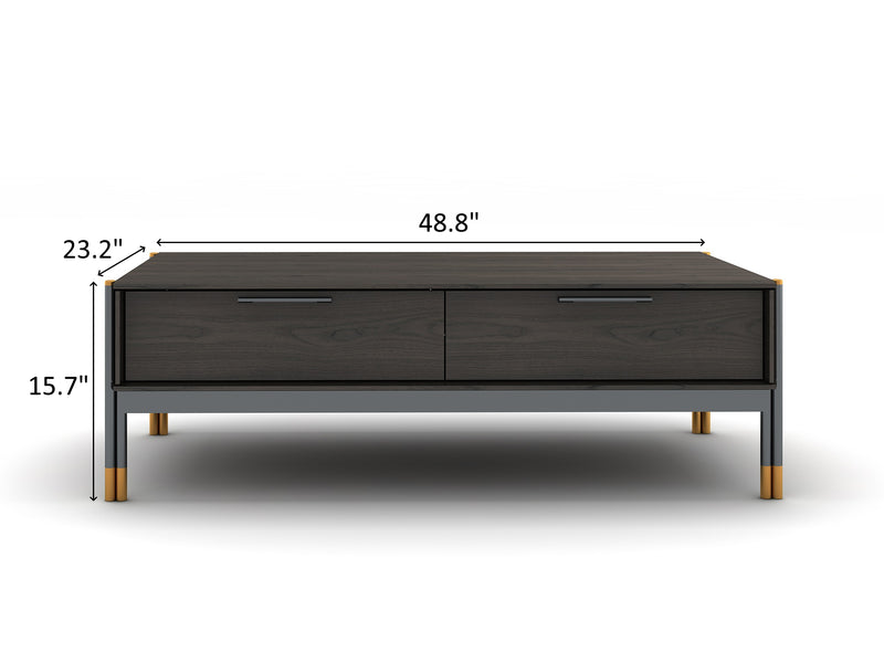 Bosa 48.8" Wide 2 Drawer Coffee Table